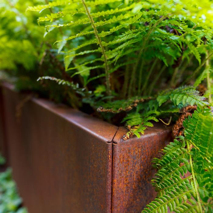 Cortenstaal Plantenbak 100x100x80 cm - Zonder Bodem