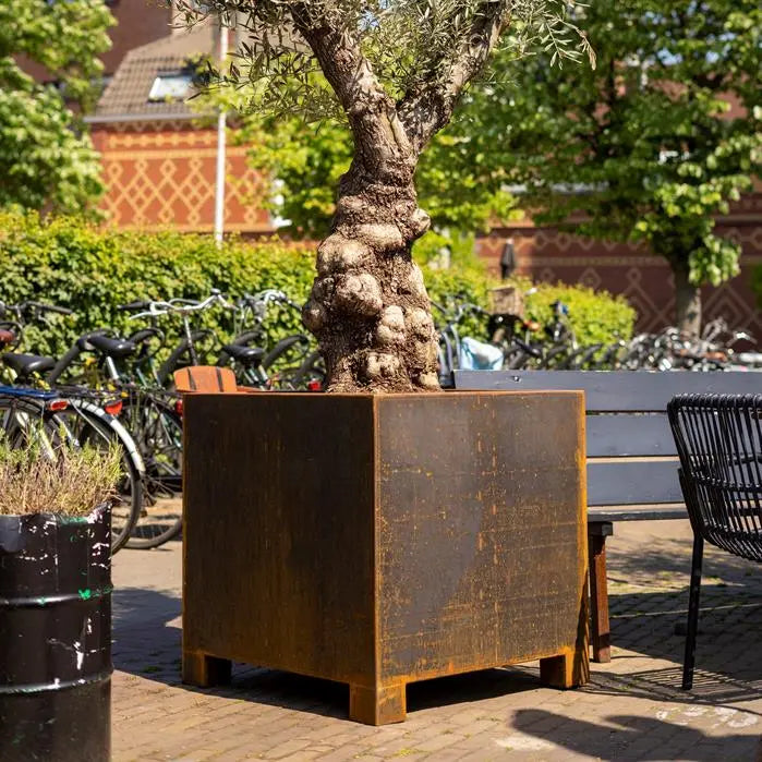 Cortenstaal Plantenbak Op Poten 100 x 100 x 80 cm