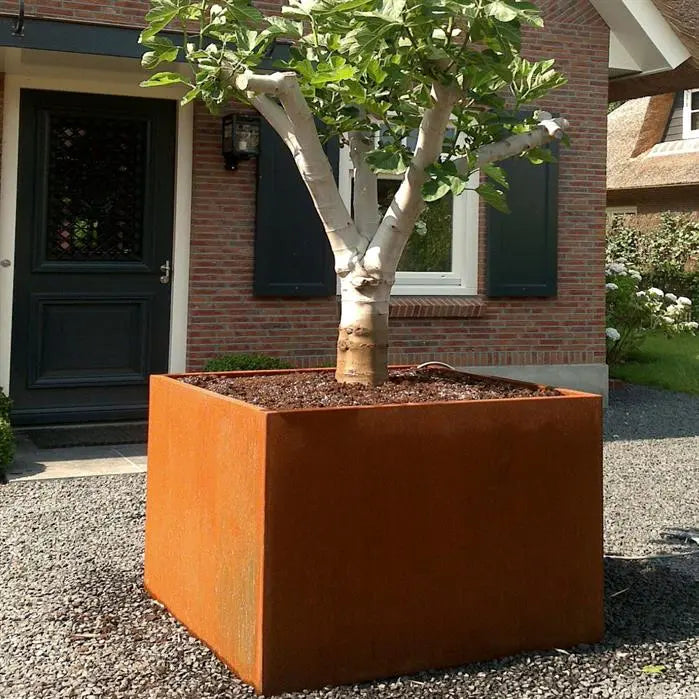 Pflanzkübel Cortenstahl, 50 x 50 x 100 cm