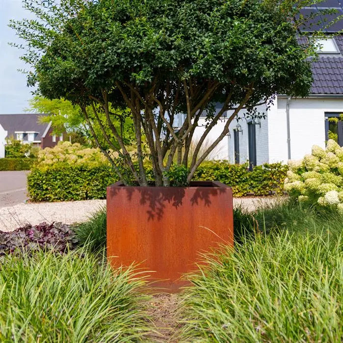 Cortenstaal Plantenbak 300 x 100 x 80 cm