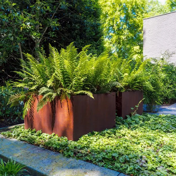 Cortenstaal Plantenbak 80 x 80 x 20 cm - Zonder Bodem