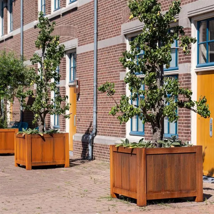 Cortenstaal Plantenbak Op Poten 80 x 80 x 80 cm