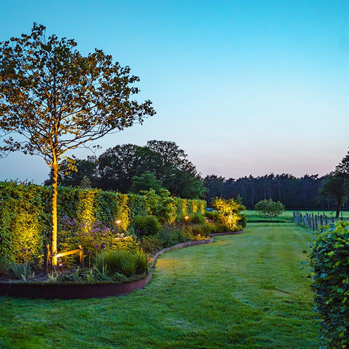 Bordure en acier Corten - 230 x 10 cm - Lot de 5 - Bord supérieur aplati - Épaisseur : 2 mm