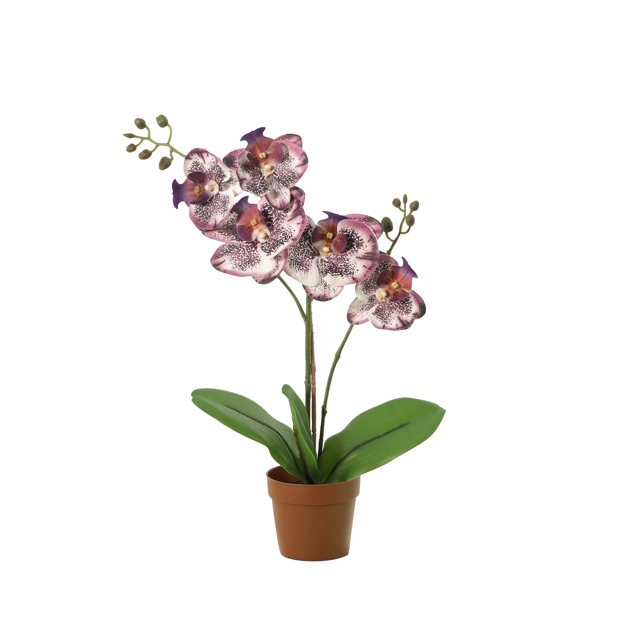 Kunstplant Phalaenopsis orchid purple - 41cm