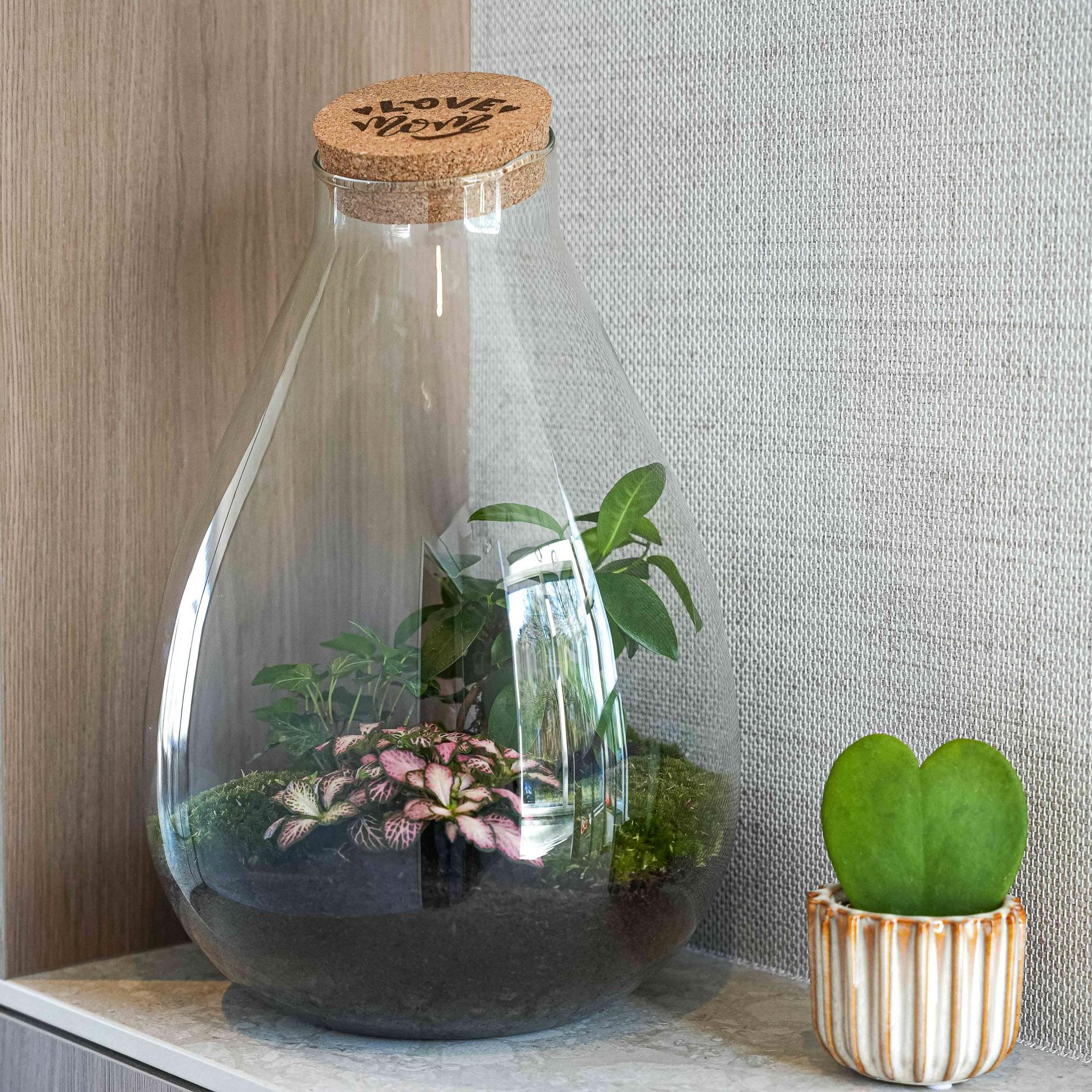 LOVE MOM' terrarium Drop XL + gegraveerde kurk - Fles terrarium DIY kit – Ø 24 cm ↑ 37 cm - Moederdag