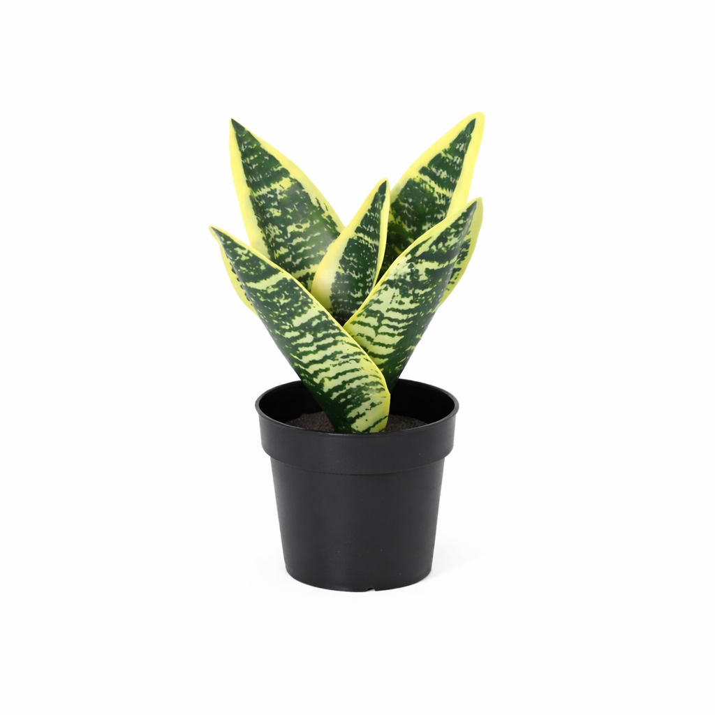 Kunstplant Sansevieria laurentii - 21cm