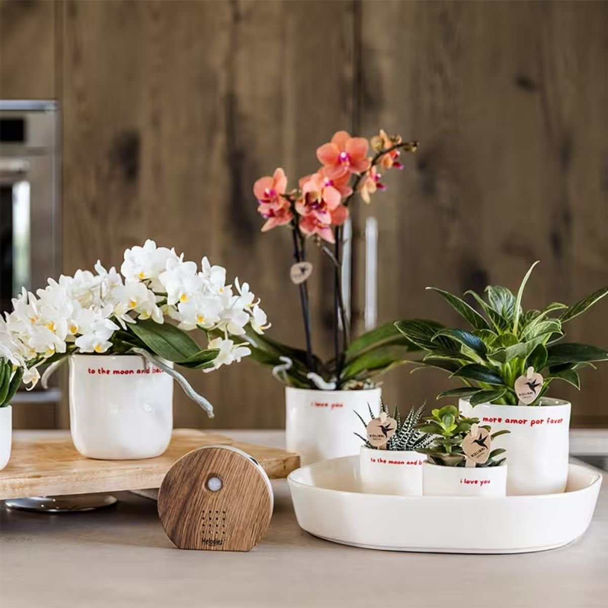 Kolibri Home | More Amor Por Favor sierpot - Ø9cm