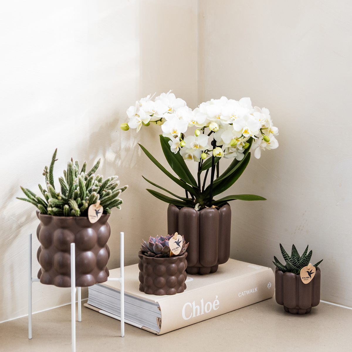 Kolibri Home | Dekorativer Retro-Übertopf – Braun – Ø 6 cm