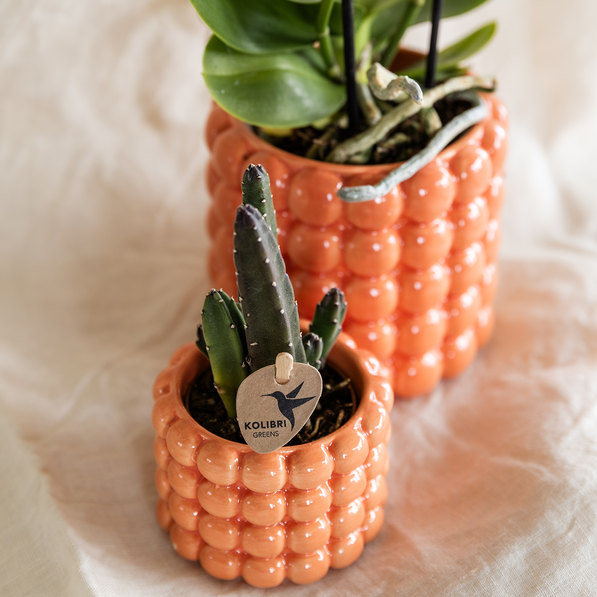 Kolibri Home | Dekorativer Mohnblumentopf – Orange – Ø 6 cm