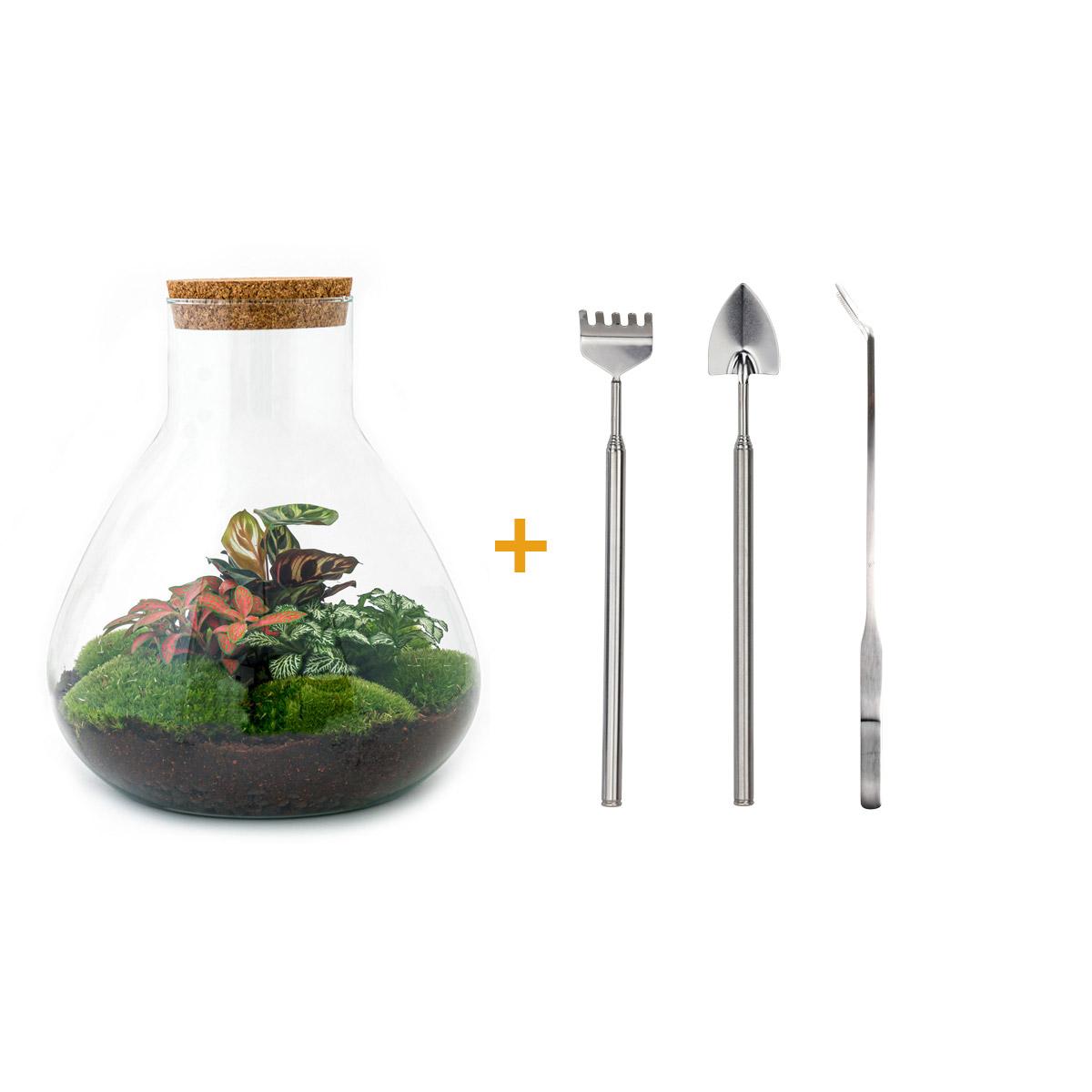 DIY-Terrarium – Sam XL Rot – ↕ 35 cm – Rechen + Schaufel + Pinzette
