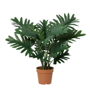 Kunstplant - Philodendron Selloum - 70cm