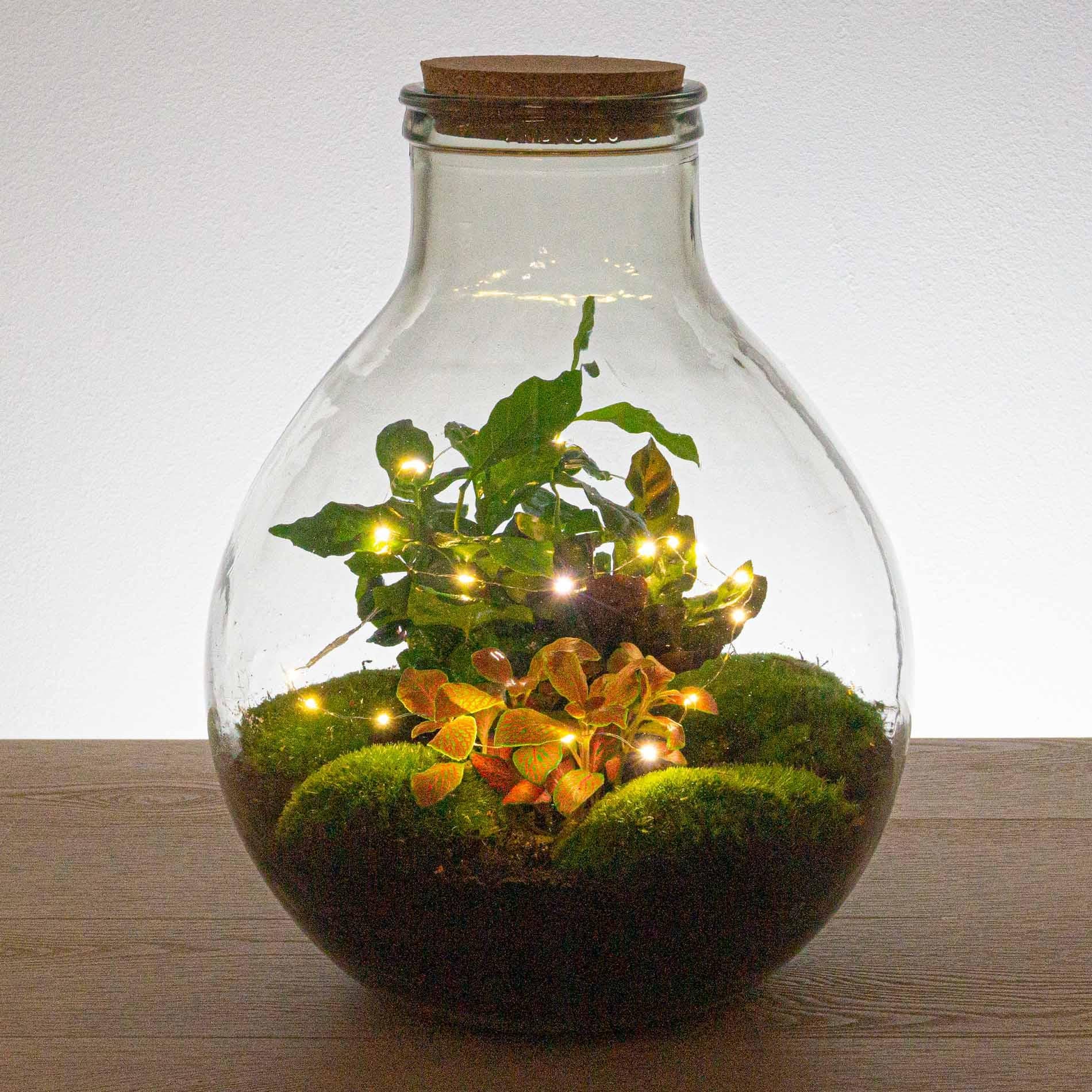 Battery-powered string light - 1 meter - Warm white - 20 LED lights - Christmas