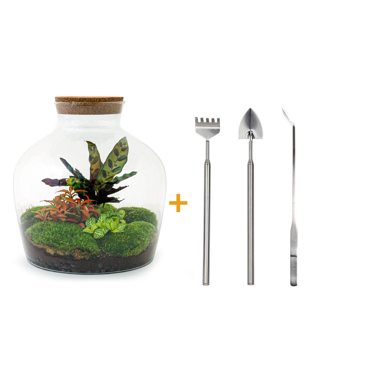 DIY Planten terrarium met licht - Fat Joe Red - Ø 29 cm ↑ 30 cm - Rake + Shovel + Tweezer