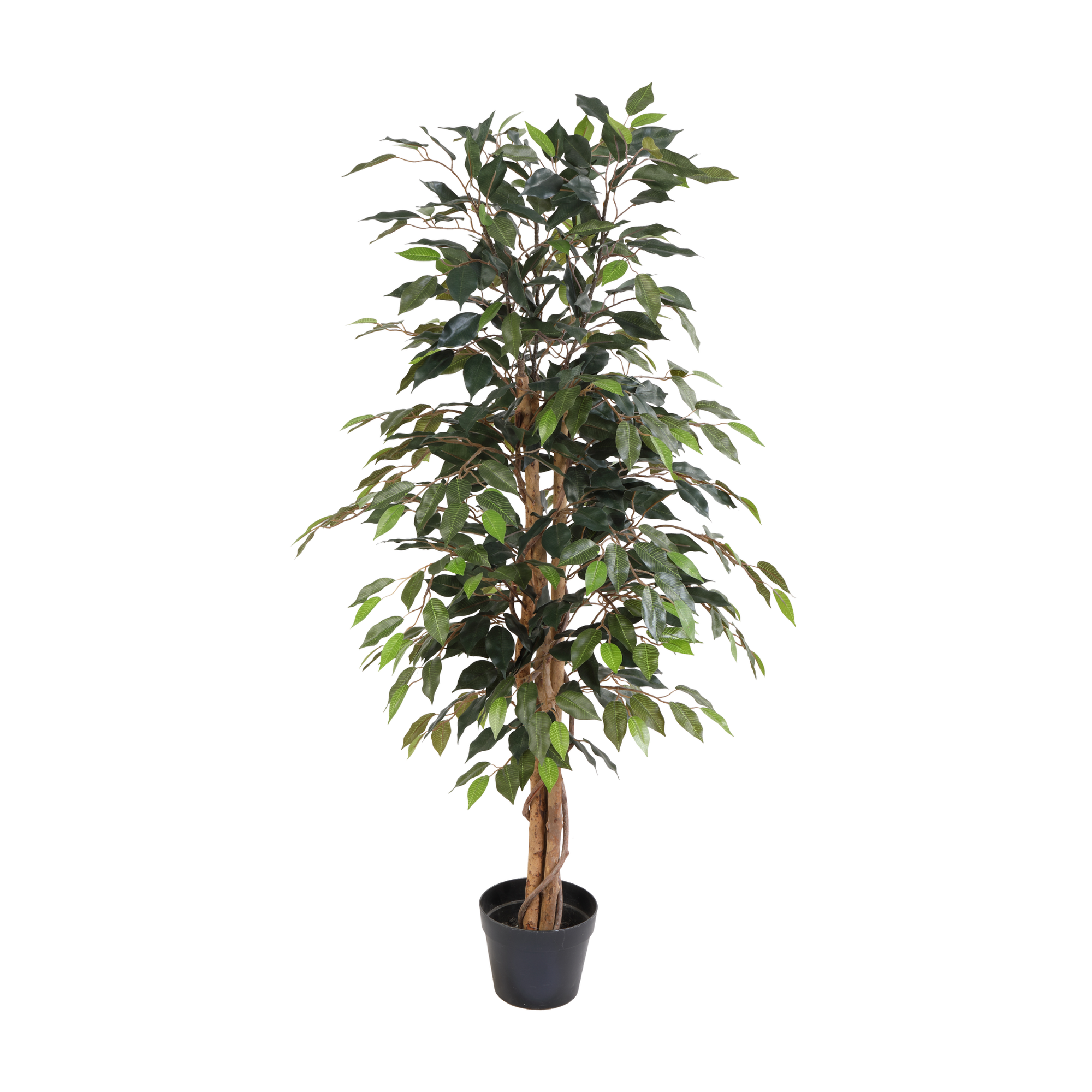 Kunstplant Ficus Benjamina - 130cm
