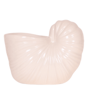 Kolibri Home | Shellfish sierpot