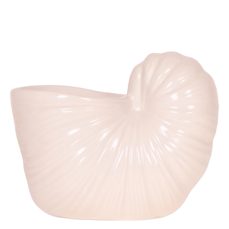 Kolibri Home | Shellfish sierpot