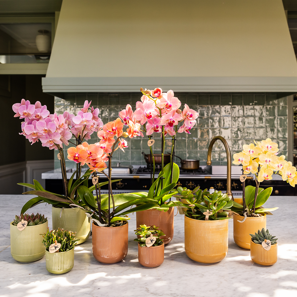 Kolibri Home | Flare sierpot - Ocher - Ø6cm