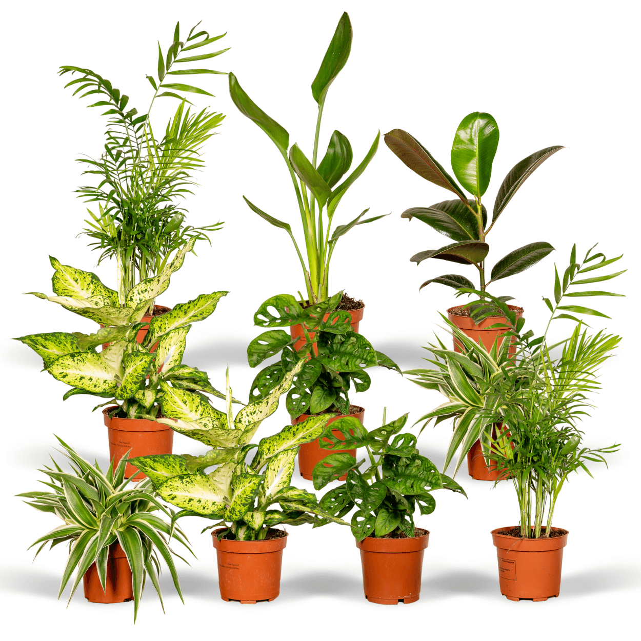 Überraschungsbox – Ø 12 cm – ↕ 25 cm – 10 Stück