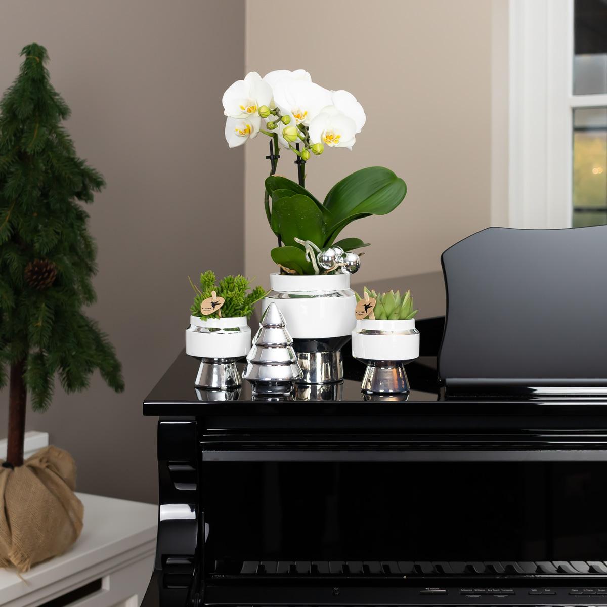 Kolibri Home | Le Chic flowerpot - White ceramic decorative pot with silver details - Ø9cm