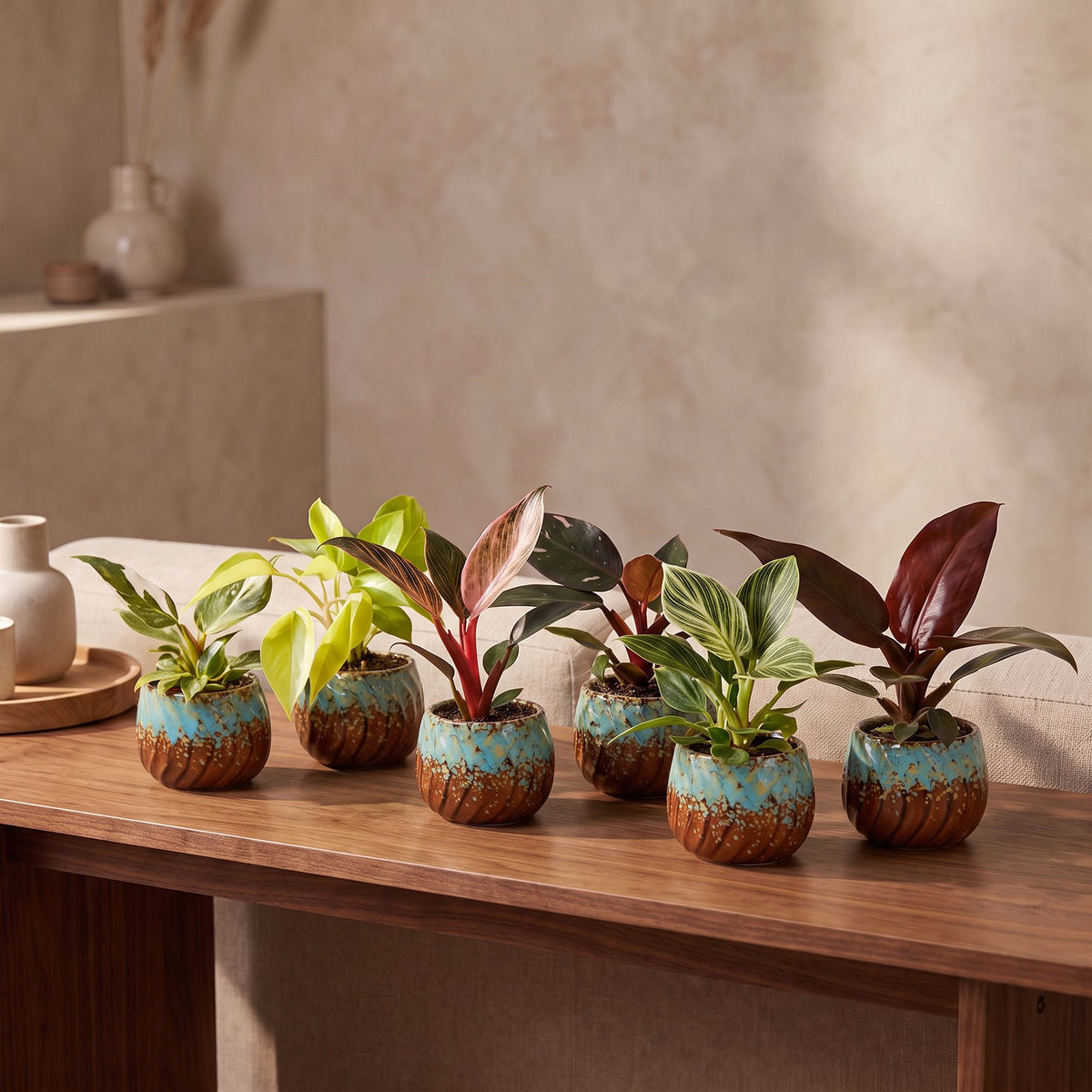 Baby Philodendron Family 6x - Wit - Roze - Geel - Groen - Rood - Tropisch - incl. Copper Reef - Ø6cm - ↕10-15cm