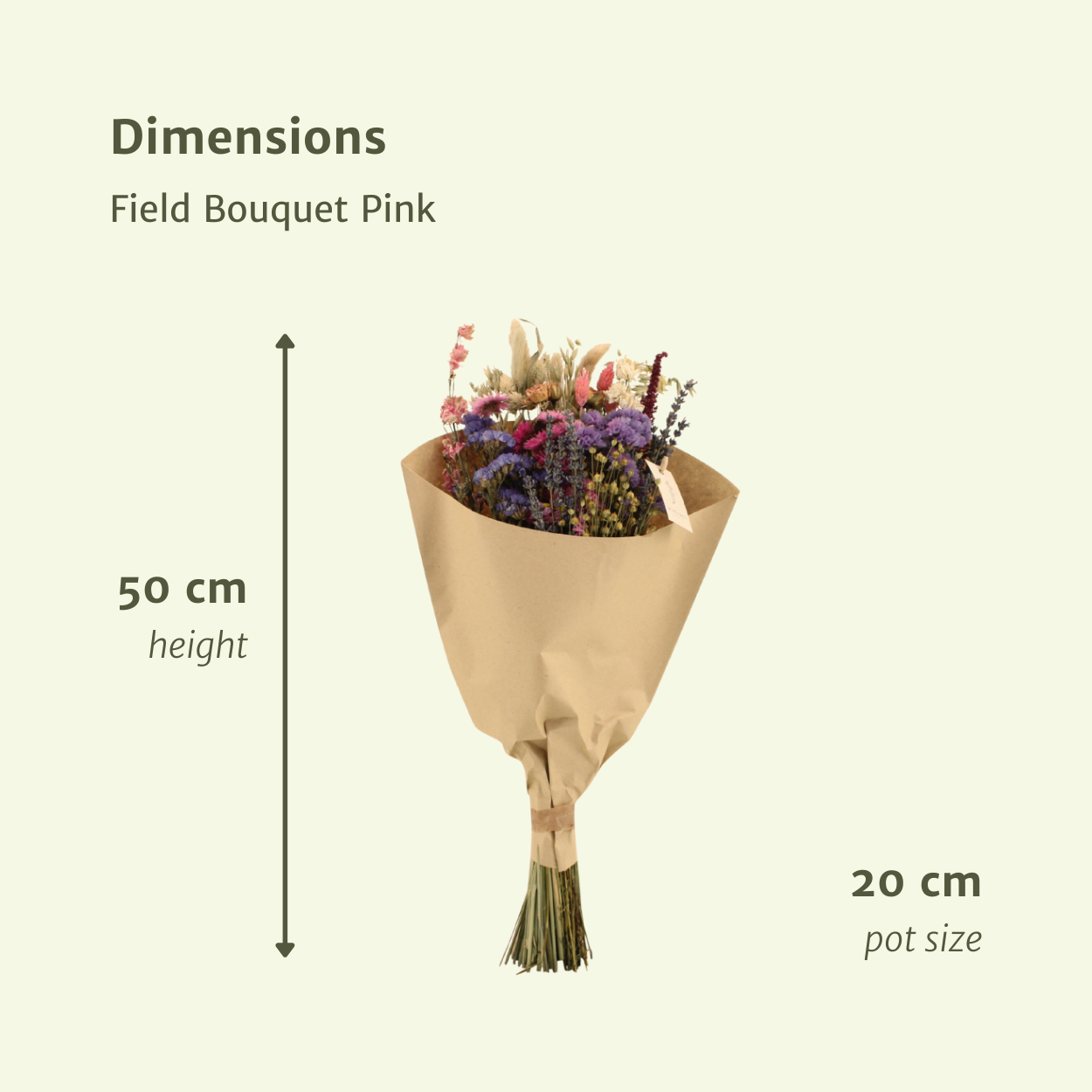 Trockenblumen-Feldstrauß Rosa - Ø 20 cm - Ø 50 cm