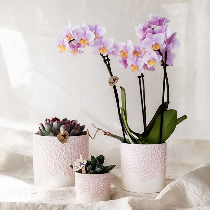 Kolibri Home | Bloom sierpot - Pink - Ø12cm