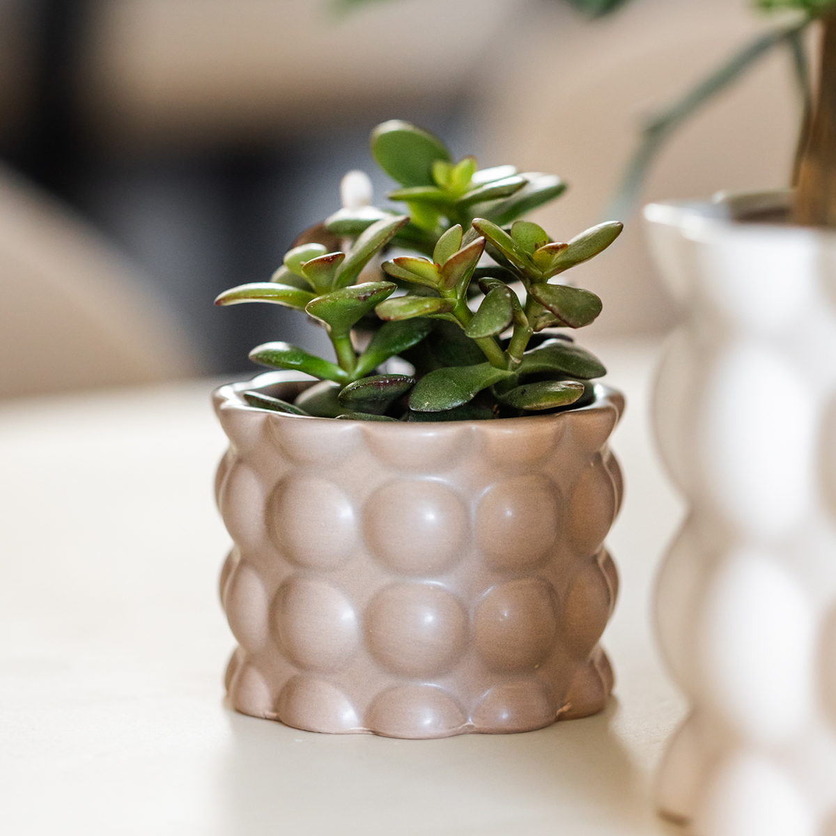 Kolibri Home | Cotton sierpot - Sand - Ø6cm