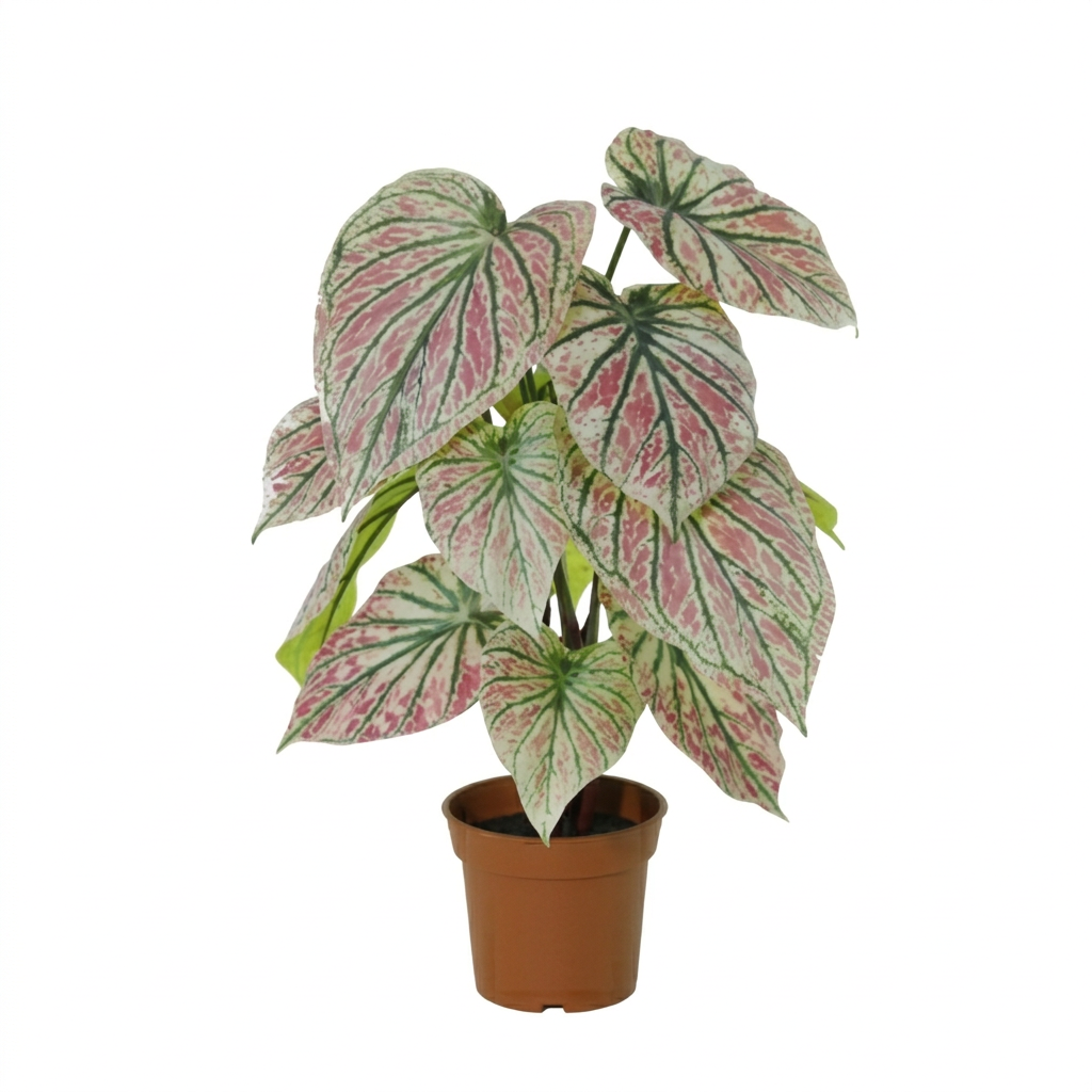 Kunstplant Caladium green / pink - 57cm