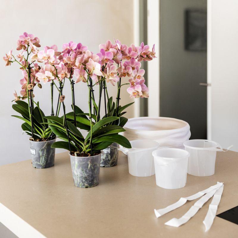 Kolibri Home | Maceta decorativa Como con sistema de riego - 3 x Ø12 cm