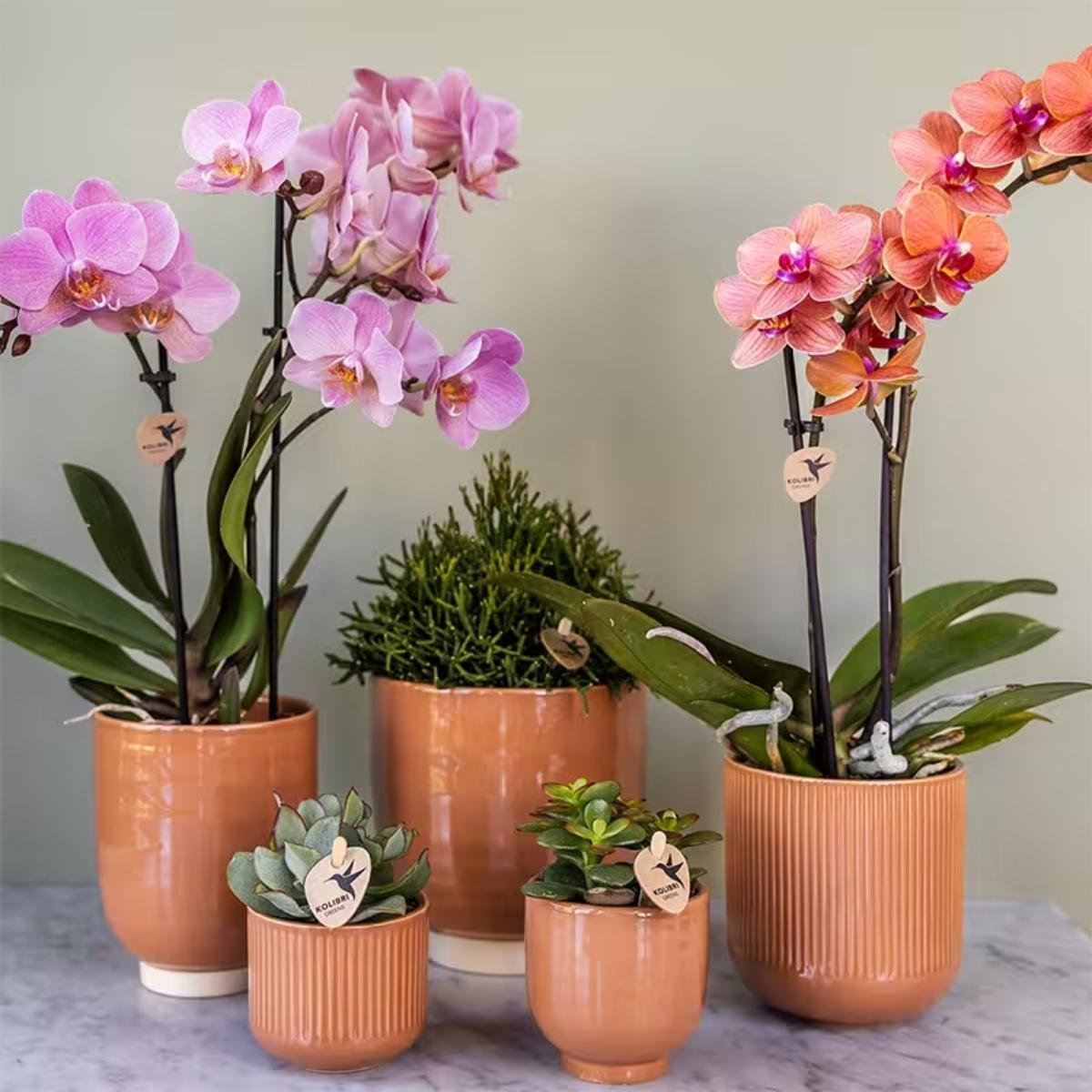Kolibri Home | Flare sierpot - Cognac - Ø9cm