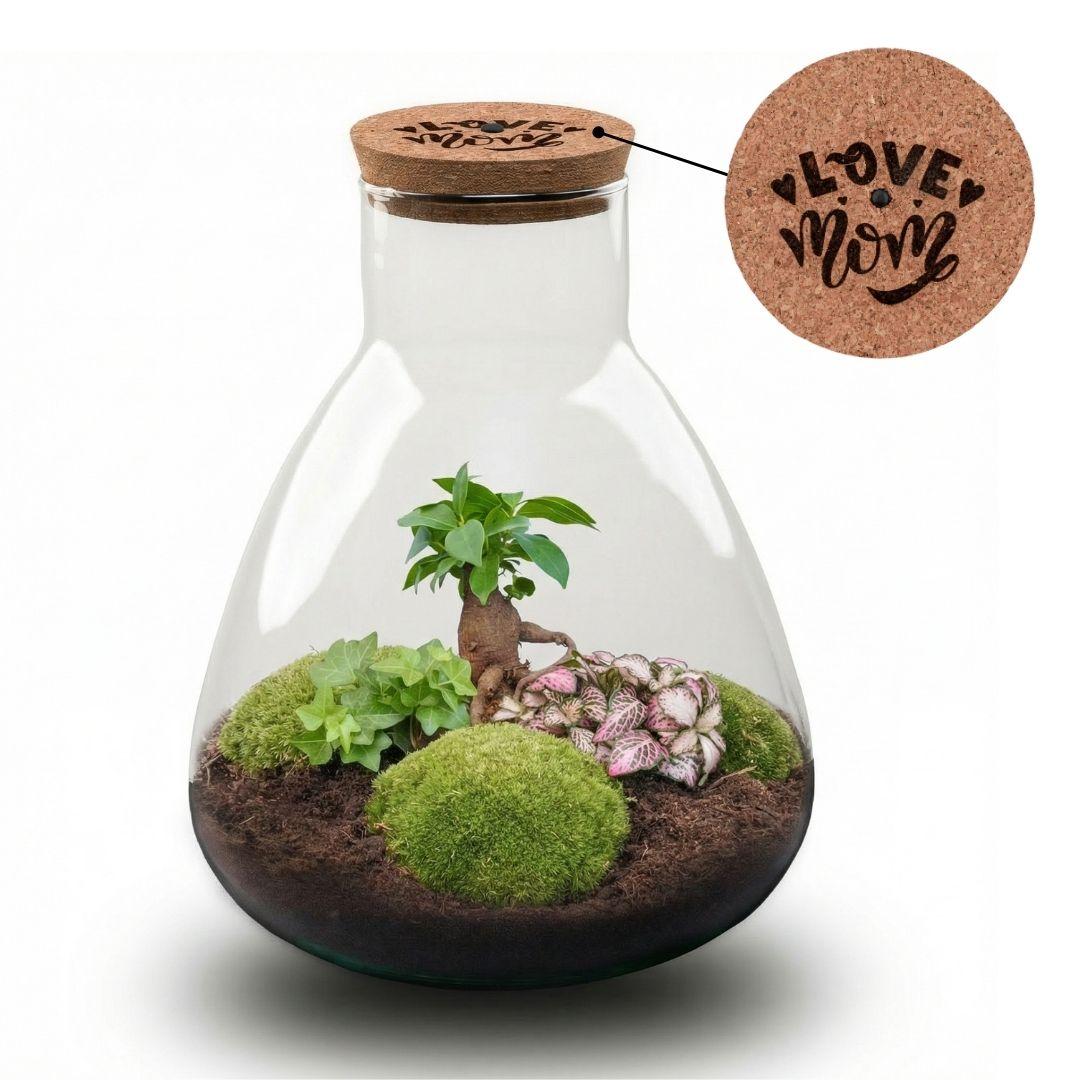 LOVE MOM' terrarium Sam + gegraveerde kurk met licht - Fles terrarium DIY kit - Ø 24.5 cm ↑ 30 cm - Moederdag