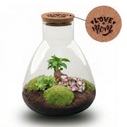 LOVE MOM' terrarium Sam + gegraveerde kurk met licht - Fles terrarium DIY kit - Ø 24.5 cm ↑ 30 cm - Moederdag