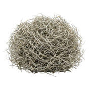 Gedroogd Tillandsia Mos – 1L – Alleen voor decoratief gebruik