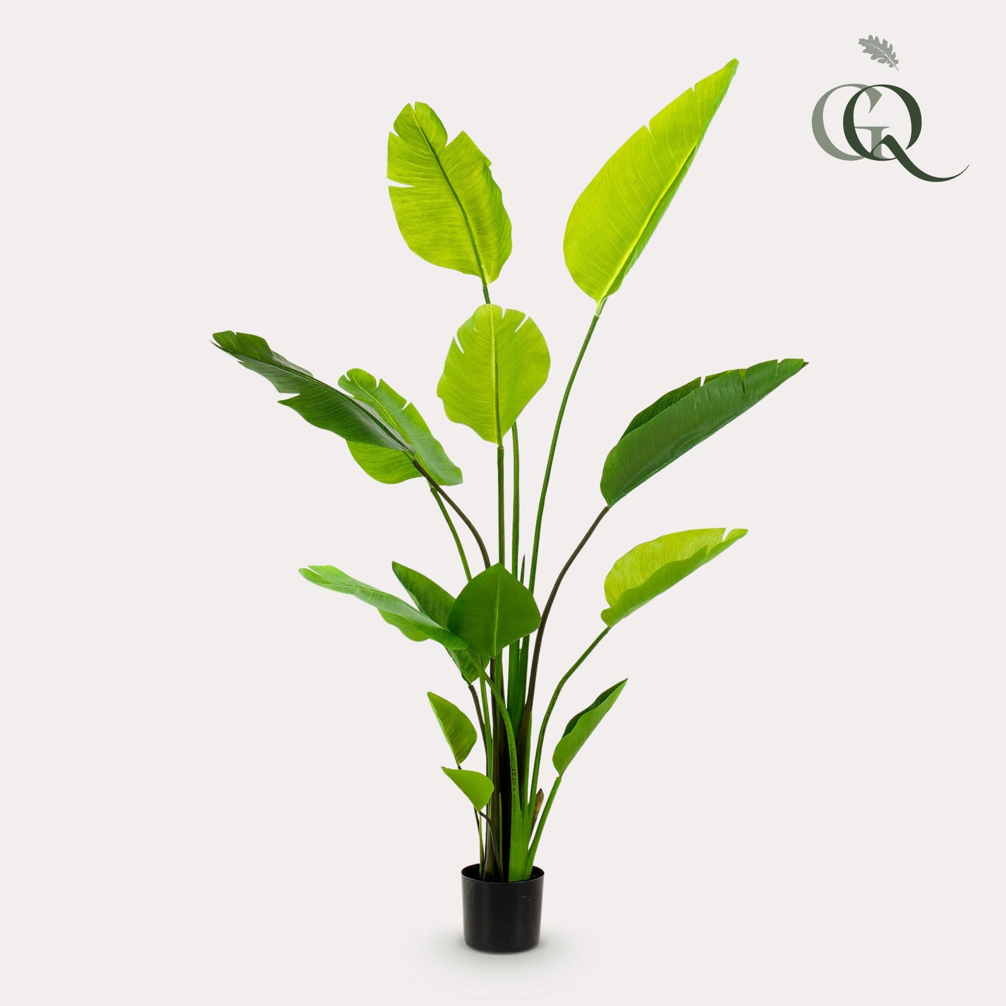 Künstliche Pflanze – Strelitzie Nicolai – Paradiesvogelblume – 150 cm