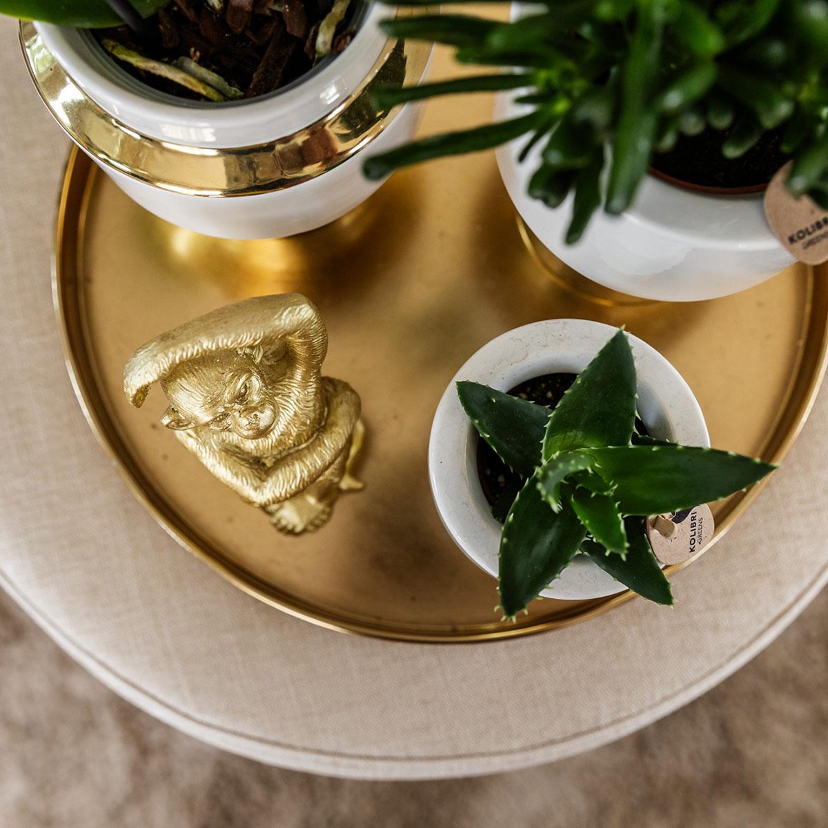 Kolibri Home | Le Chic flowerpot - White ceramic decorative pot with gold details - Ø9cm