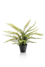 Pianta artificiale - Nephrolepis Exaltata - Felce di Boston - 55 cm