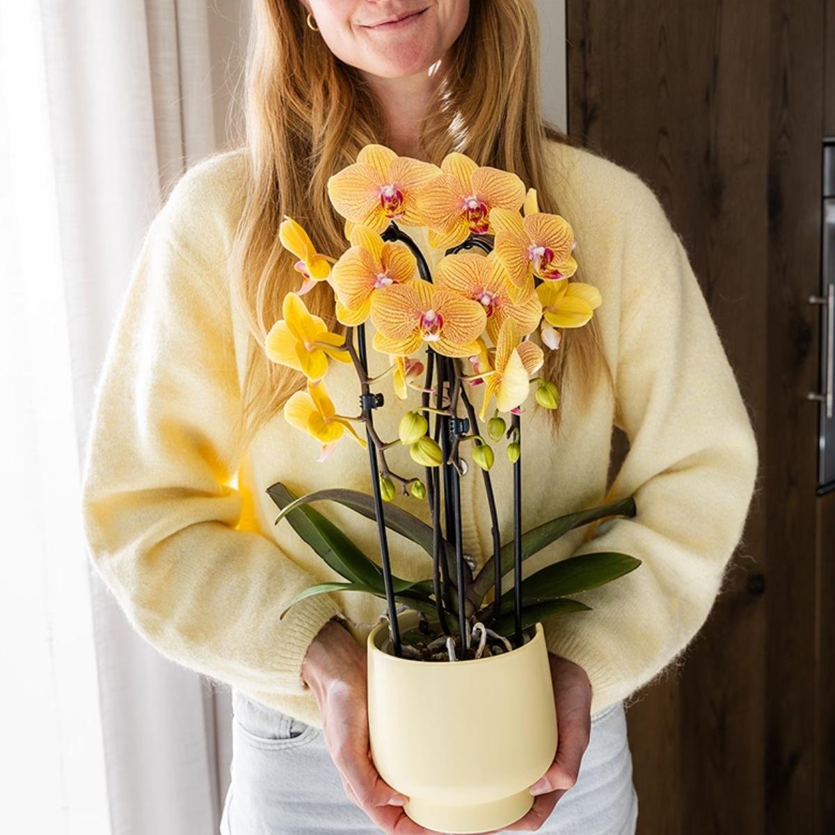 Kolibri Orchids | Combi Deal - 4 Oranje-Roze Phalaenopsis Orchideeën Niagara Fall Sunny Bunny - Ø12 cm