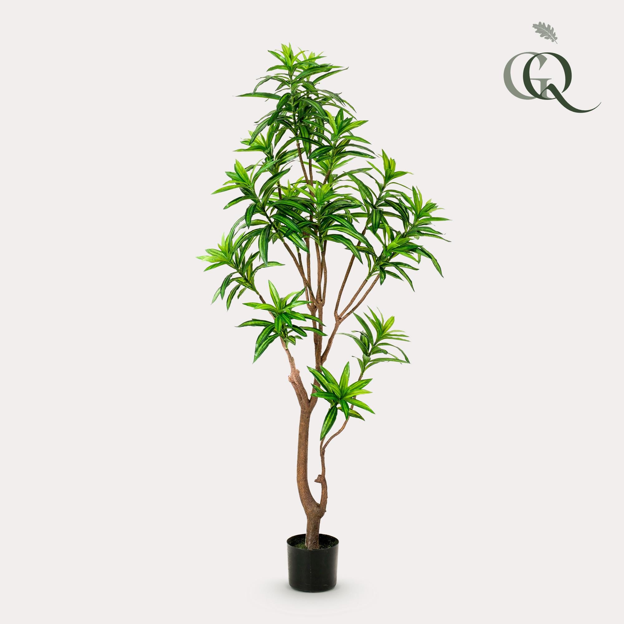 Planta artificial - Dracaena - Árbol del dragón - 155 cm