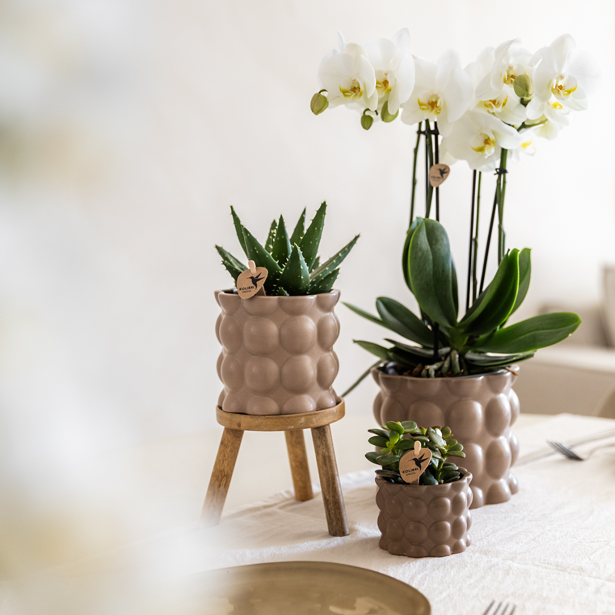 Kolibri Home | Cotton sierpot - Sand - Ø6cm