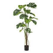 pianta artificiale - Monstera - Pianta da bucato - 180cm