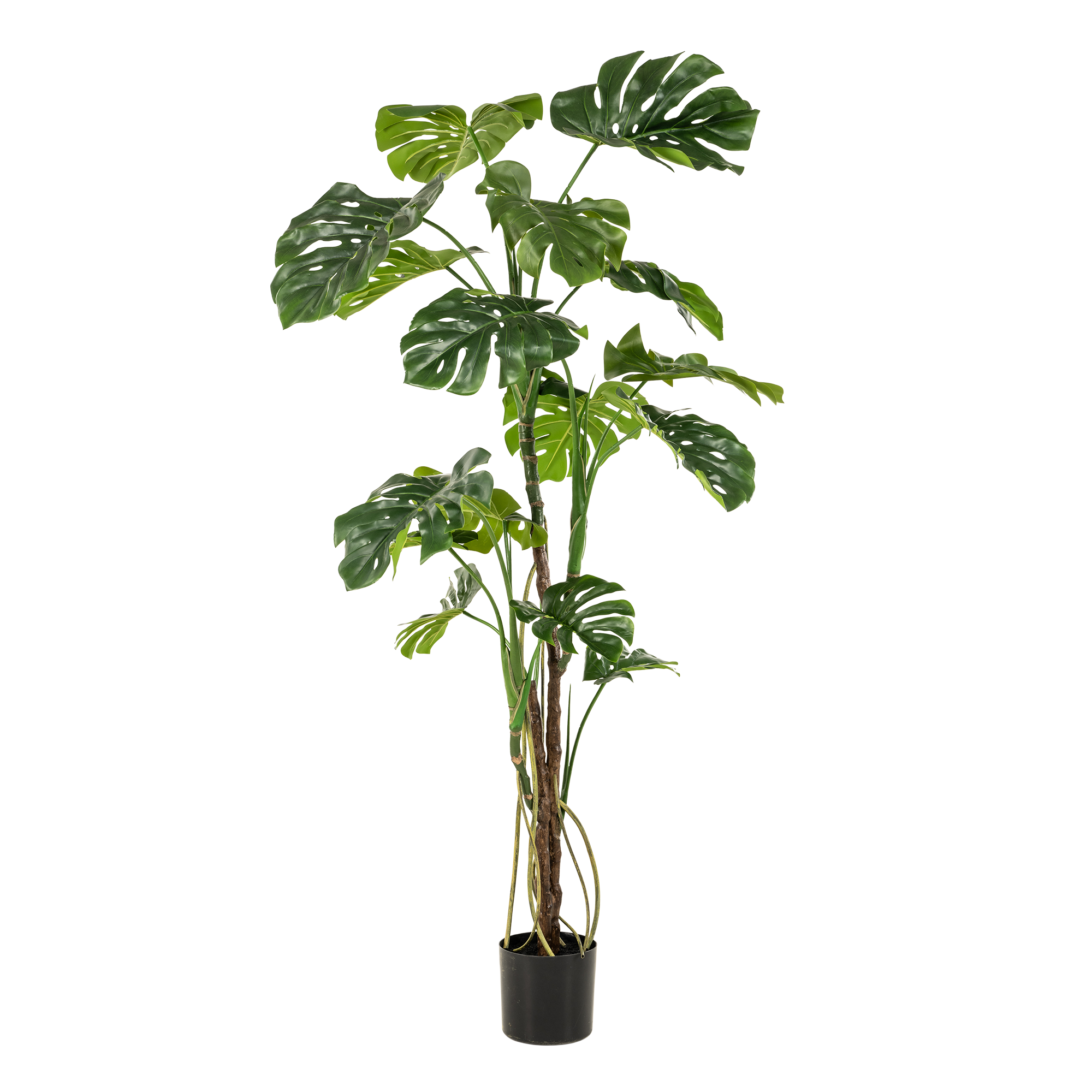 pianta artificiale - Monstera - Pianta da bucato - 180cm