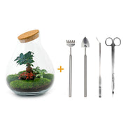 Terrarium à faire soi-même - Bonsaï Drop XL - ↕ 37 cm - Râteau + Pelle + Pince à épiler + Ciseaux