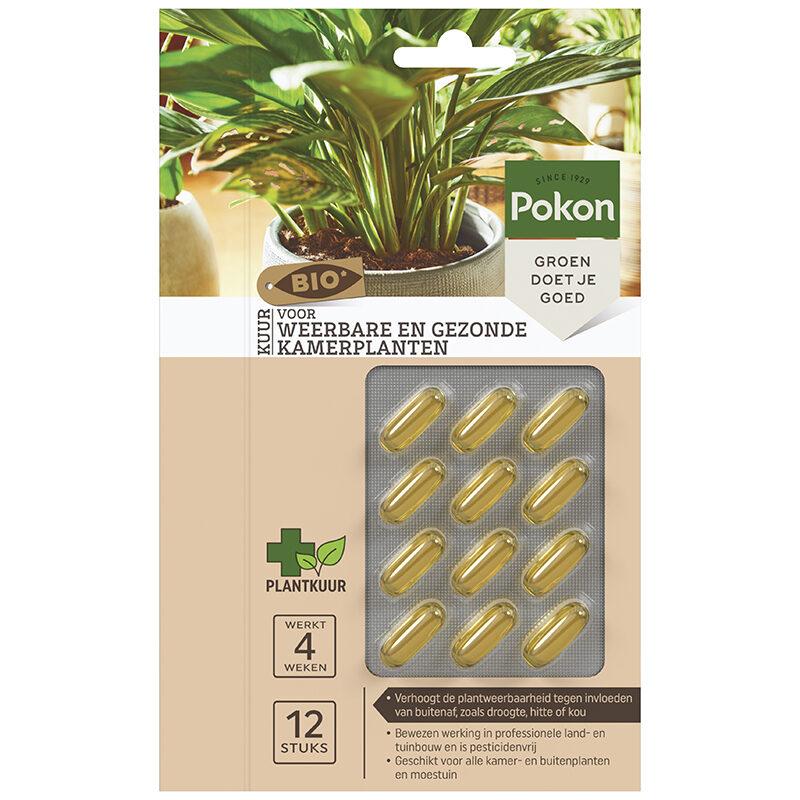 Bio Cure per piante d'appartamento resistenti e sane Capsule - 12 pezzi