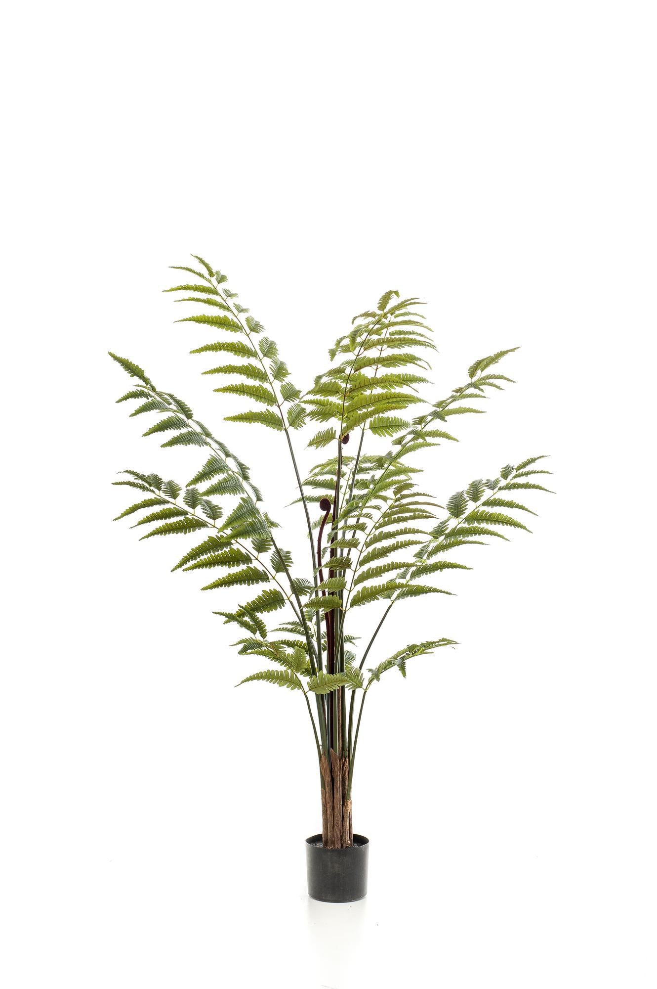 Künstliche Pflanze - Rumohra Adiantiformis - Lederfarn - 150 cm