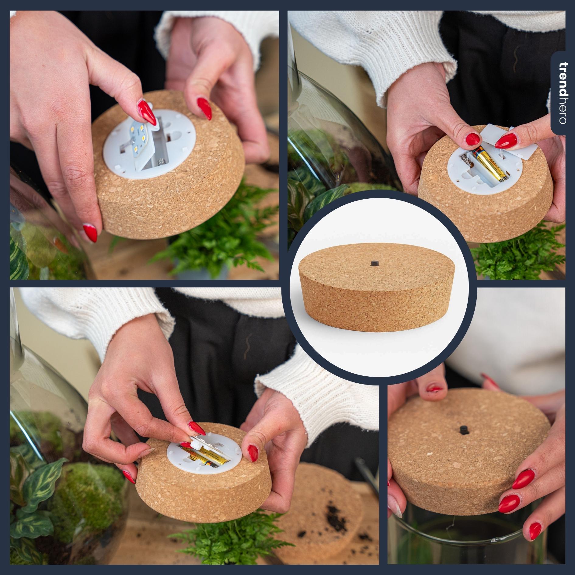 LED cork L - Cork with lighting - LED lamp for terrarium - 13.2 x 11.9 x 3.5 cm