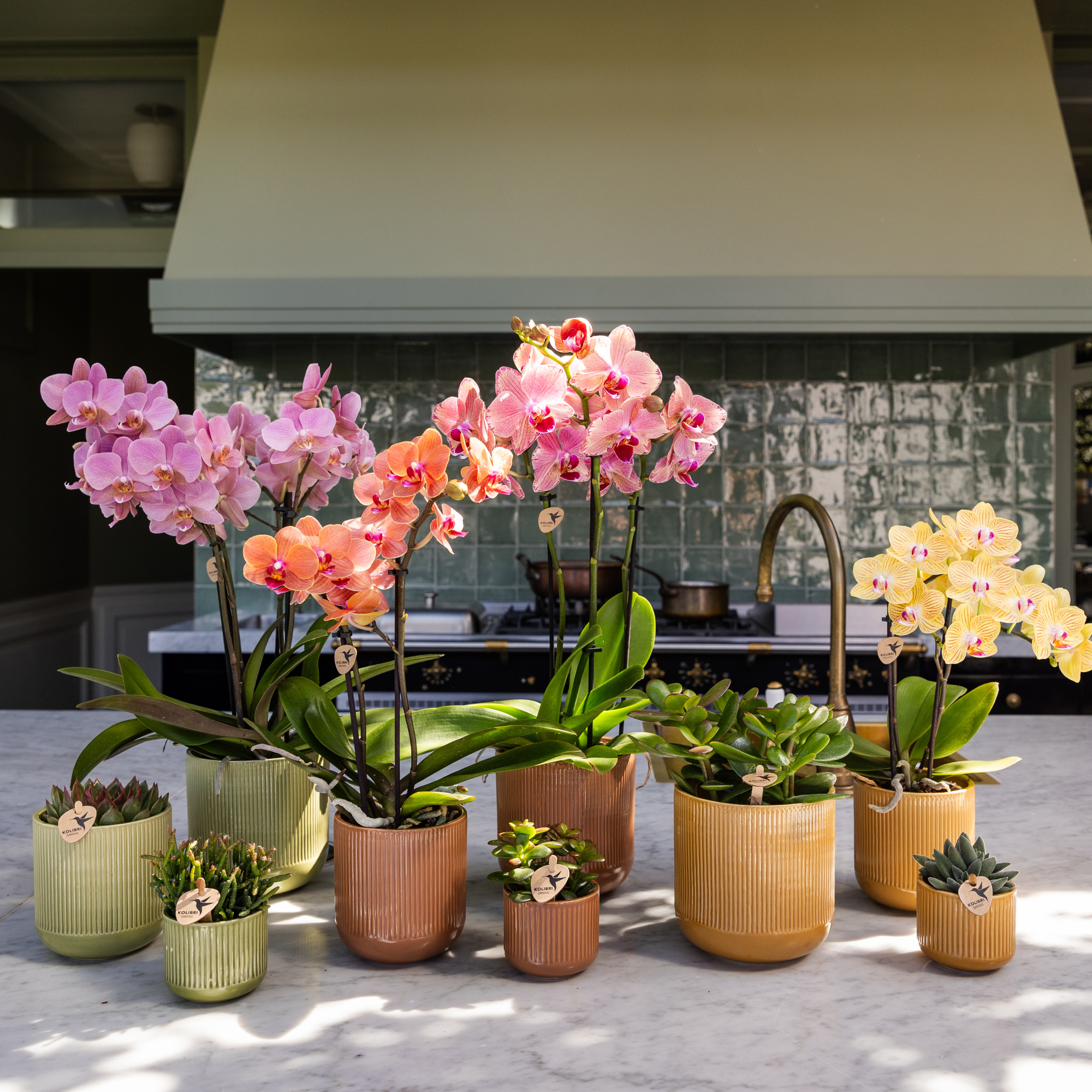 Kolibri Home | Flare sierpot - Green - Ø6cm