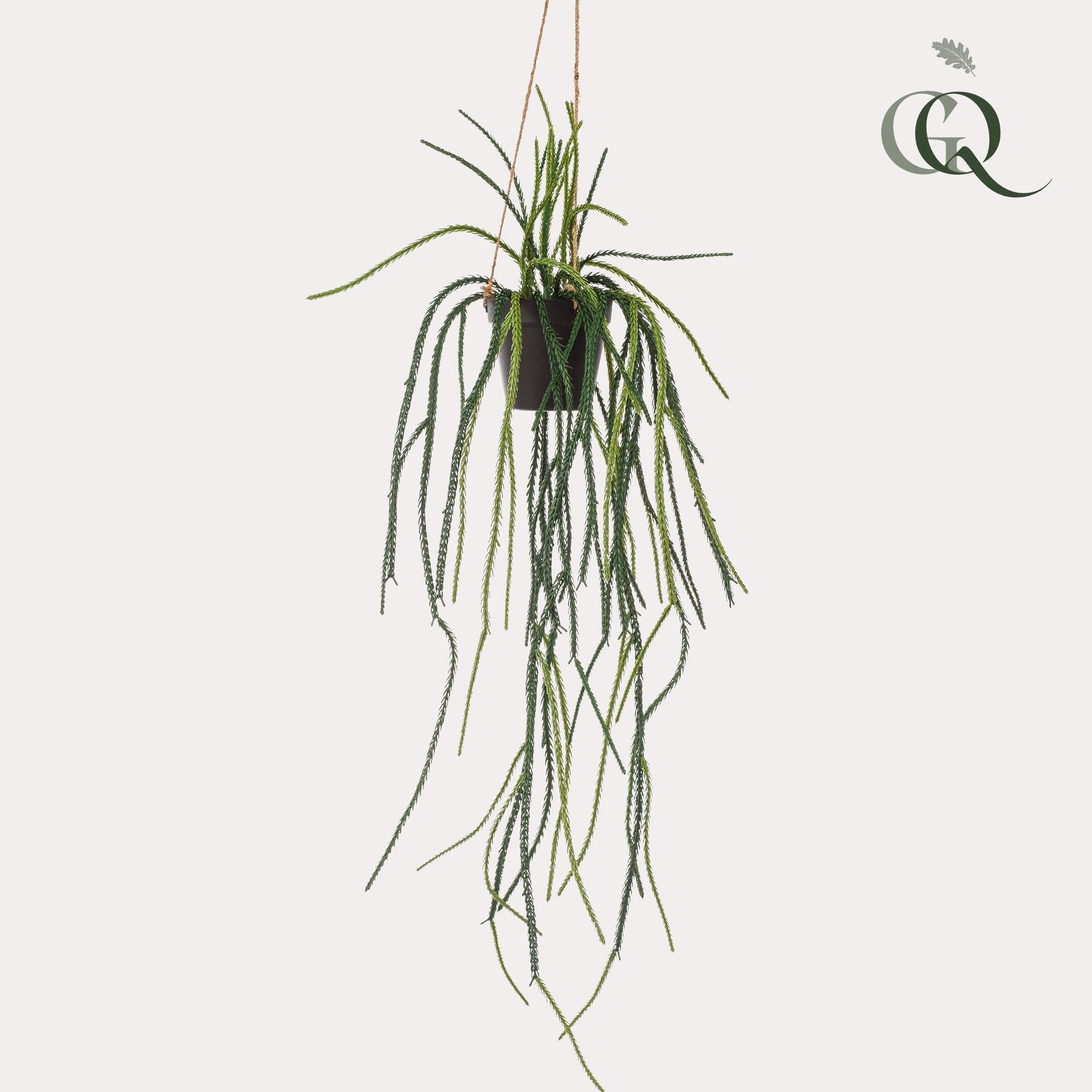 Pianta artificiale - Rhypsalis - Cactus corallo - 85 cm