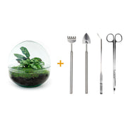 DIY-Terrarium – Kuppel – ↕ 20 cm – Rechen + Schaufel + Pinzette + Schere