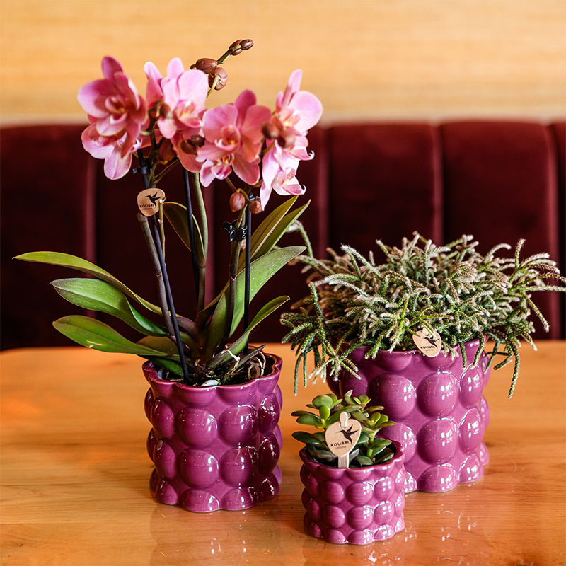 Kolibri Home | Cotton Shine sierpot - Purple - Ø9cm