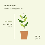 Tierfreundlicher Pflanzkasten – 4 Stück – Ø 12 cm – ↕ 20–40 cm